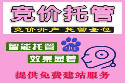 竞价排名案例：行业领先企业经验